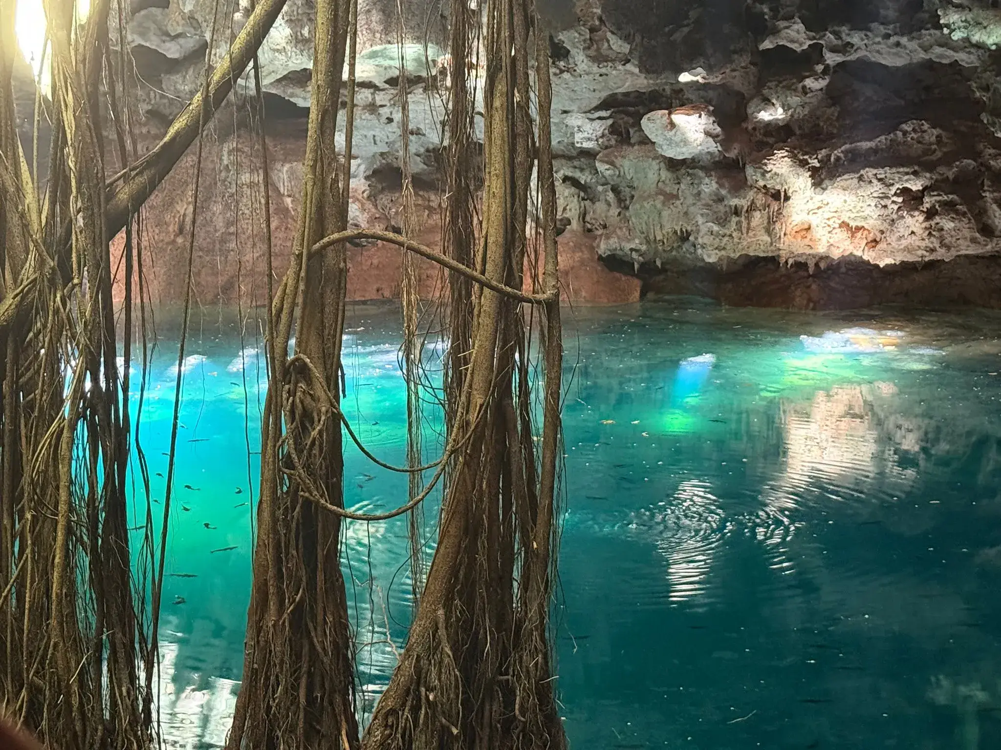 Expanding through Creativity